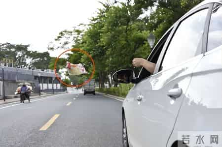 罚款500元！2月4日起，深圳全市严查！