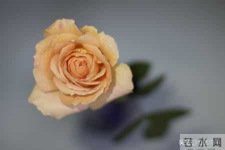 人这一辈子，说到底就三件事！忙完就该散场了，话糙理不糙