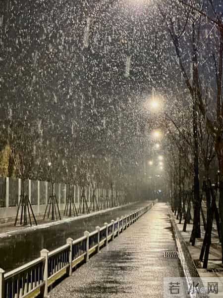 1.31!凌晨!杭州大雪纷飞