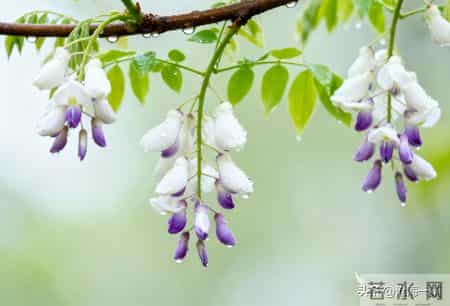 对于孩子,父母的眼光,不能太散了,也不不能太聚焦了