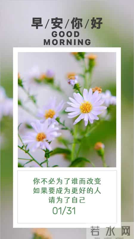 腊月十三早安文案合集|2026.1.31早安朋友圈美图