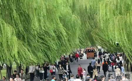 记住！把坏事往好处想，把好事往更好处想：凡事往好处想能激发自己的自愈功能