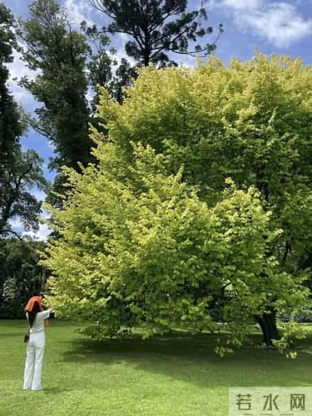 推广-- 冬天利用率超高的裙子，怎么搭都对！