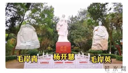 邵华临死前的嘱咐葬在婆婆杨开慧烈士旁，生前没服侍死后来陪伴。