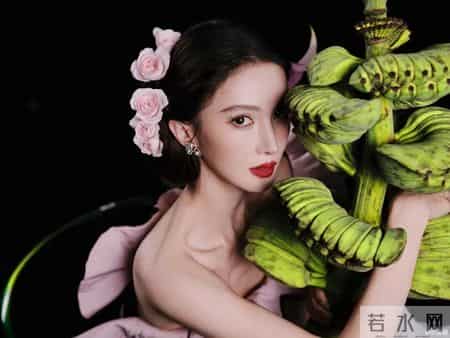 演员金晨被曝涉嫌交通肇事逃逸,警方通报:金某为避让路上窜行犬只发生单车事故 不存在骗保事实