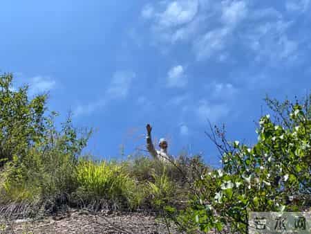 西北奇人狐先生轶事：青蛇斗蛤蟆