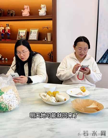 保姆红姐的小算盘，小凤门儿清，看破不说破，全凭面子罢了～