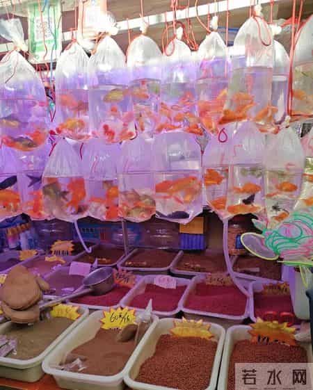 大门封板！招牌已摘！千里堤古玩城怎么突然关门了？