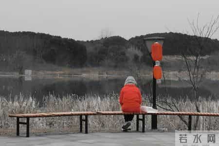 今年53岁，跟老公分居，我耐不住寂寞，每天晚上都去小公园散步