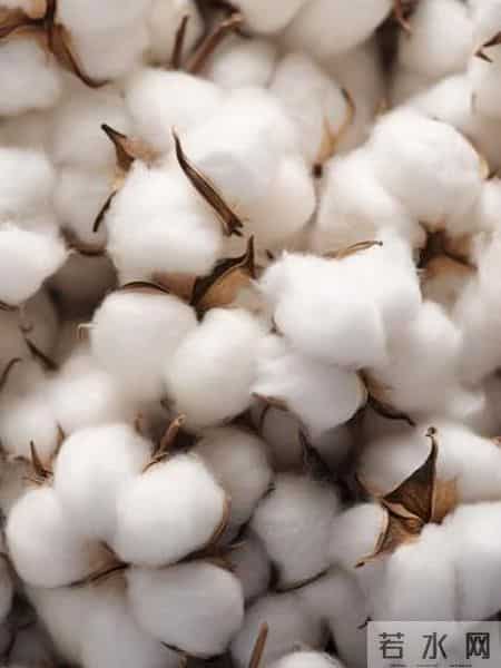 推广-- 冬天利用率超高的裙子，怎么搭都对！