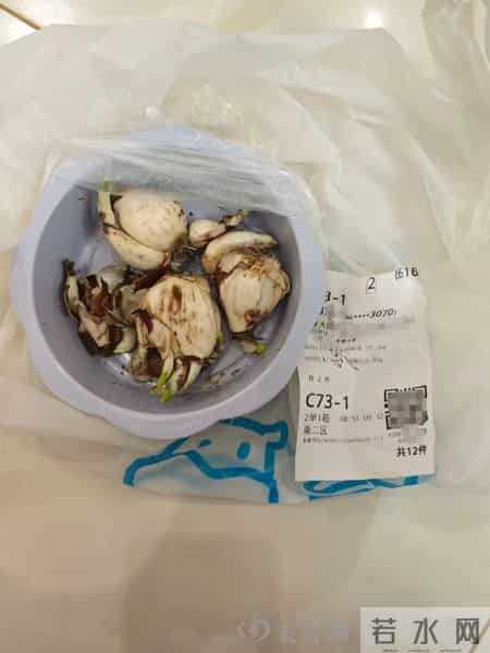 盒马误将水仙当百合配送致老人孩子中毒，家属最新回应：盒马提出7万赔偿，协商未果