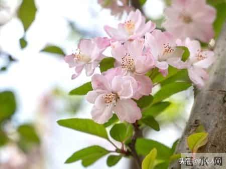 大伯来电要我卖房救他儿子，我回应，二十三年前的断绝书，您忘了