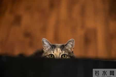 如果一个人还在穿10年前的衣服，说明了三个问题