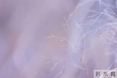 男女之间哪怕再清白,一同去过这2个地方,关系也就“变味”了!