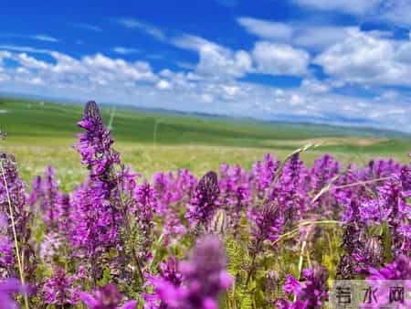 女人有过很多男人，身上有4个明显迹象！男人别太老实，看完就懂