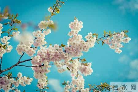 婆婆去世半年，公公要再婚，老公想用我婚前的房子给公公当婚房