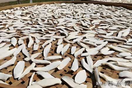 “冬天吃一根,腿脚站稳跟”,一次买25斤晒起来,泡水煮粥都很好