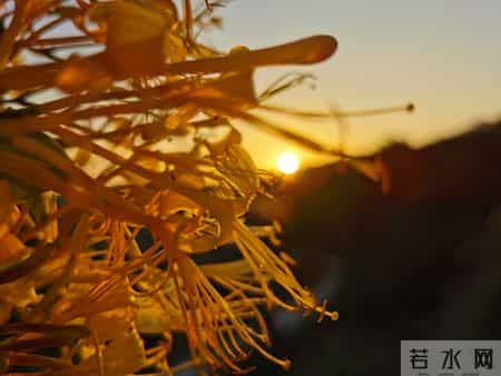 属猴的跟你说个实在的:特别是56年的猴