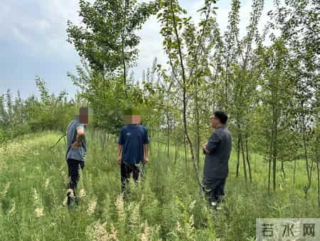 赔不起就种树! 2019年江苏男子河边诱捕2万多只, 判赔600万无力支付