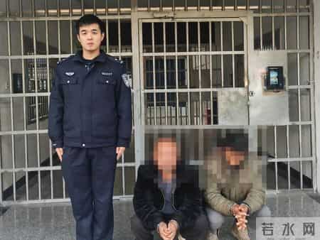 贵溪：严打，近期15人被抓！