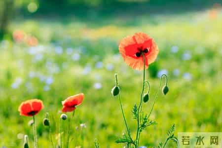 尽量不要在朋友圈持续分享你的近况