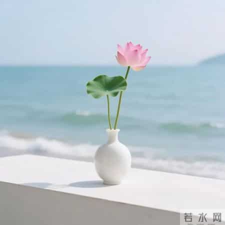 平平安安的微信头像