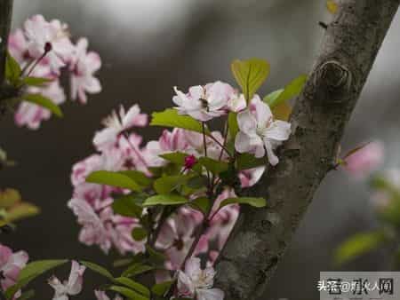 大伯来电要我卖房救他儿子，我回应，二十三年前的断绝书，您忘了
