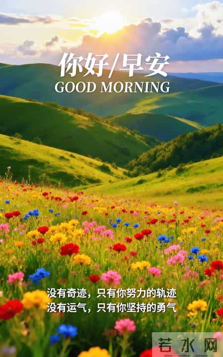 早安 ~ 今日的美好已装满：一缕阳光，一阵花香，满满好运。