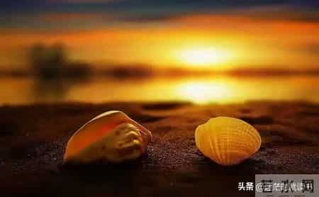 焦虑本质就是一种处于“怕”的状态，摆脱焦虑的方法，就一句话