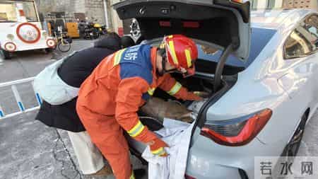 门头沟一只狍子卡在小区护栏间，救援还真有技术含量！