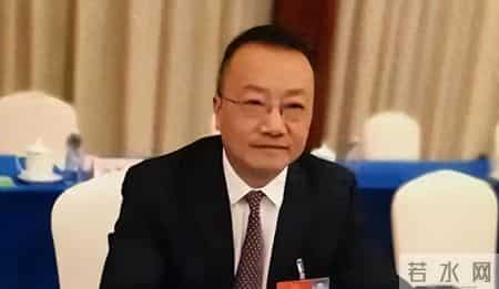 你的宠物狗，凭什么让他人付出代价？