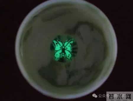 山西村民捡到一杯子，装满水后，杯子里的蝴蝶突然“飞舞”起来