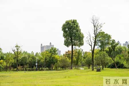 厦门人的五大怪习惯！外地人难接受，直呼 “太离谱”！