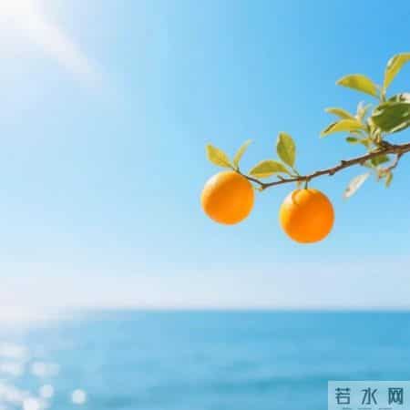 平平安安的微信头像