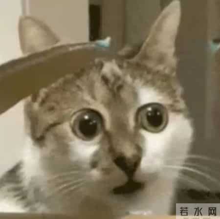 全国巡“倒”,在大连栽了!