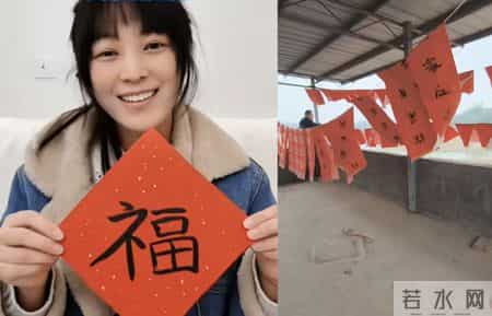 呆呆写对联大风吹的满天飞 合川文旅要出手了 呆呆跳舞视频把人笑翻