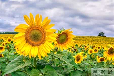 雪天扫雪不敢停!运城环卫工戴定位器,不动就罚款?官方回应来了