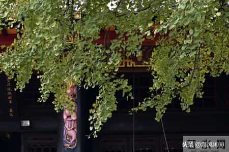 我发现男人到了60岁，如果还能占以下十条，绝对是人生赢家