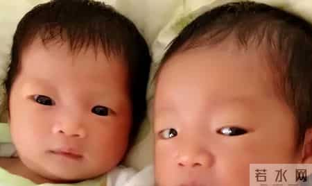 04年，父亲把双胞胎女儿送人，20年后疯狂寻找，只想知道过得如何