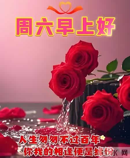 2026.1.31冬日星期六早安，愿你事事顺心，步步生财