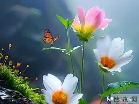 别只会亲吻拥抱！触碰女人这一软肋，才会让她彻底为你沦陷