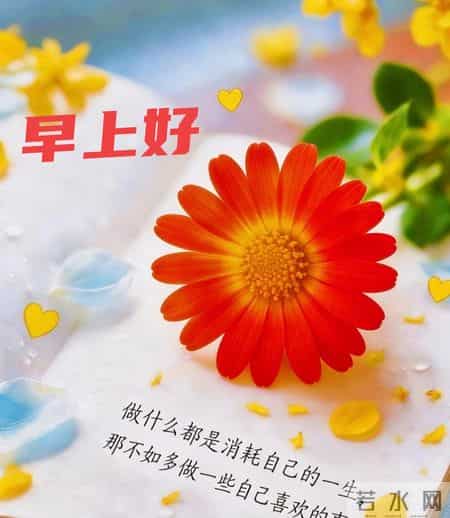 2026年2月1日早上好 早上好温馨问候语 二月你好 二月第一天周日愉快