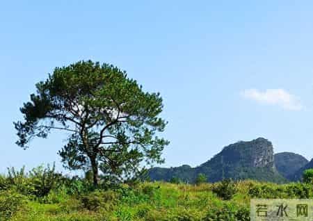 感到不顺时，扔掉两样东西