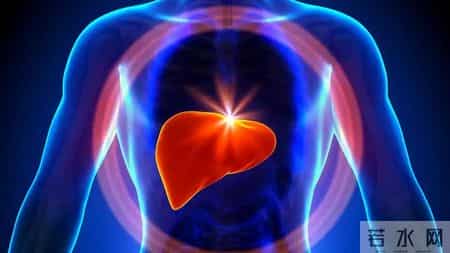 每天吃两口，给肝脏“洗个澡”，排净肝毒，脸色不黄、身体不淤？