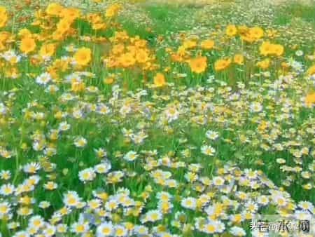 天意让你看到此文！不出三天，你必定会时来运转，苦尽甘来