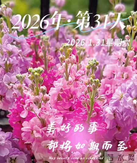 2026年1月31日周末愉快 一月最后一天完美收官 开启二月好运 早上好