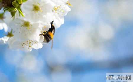 老公把6000生活费降到2500，说我带娃性价比太低，我给他7000带娃