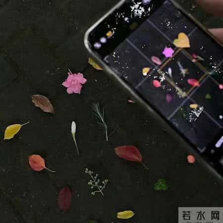 “这样退场,让某人瞬间破防”