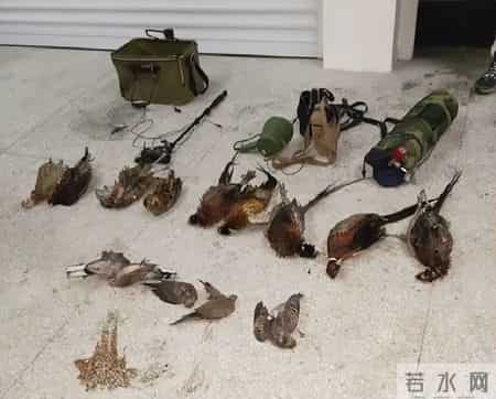 赔不起就种树! 2019年江苏男子河边诱捕2万多只, 判赔600万无力支付