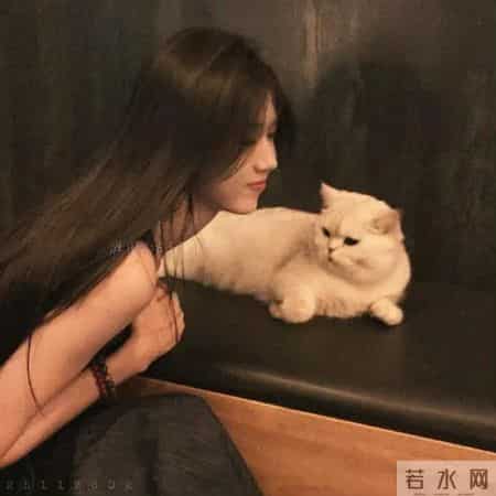 赚钱能力一流,天生老板命的星座